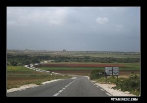 Champs verdoyants de la commune de Terga, Route menant vers Ouled Kihel