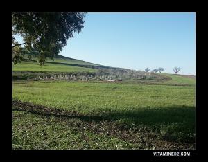 Cimetière à Sebaa chioukh