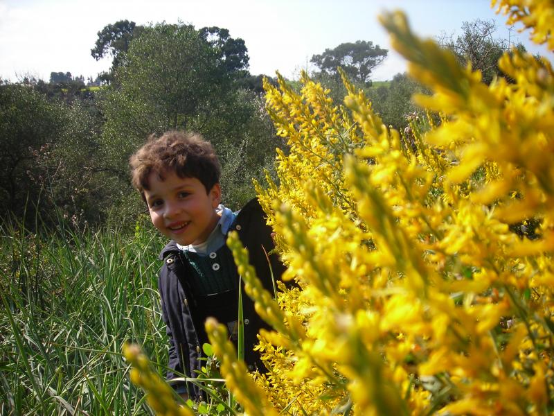 BOUKERCH ABDERAHMANE ANIS