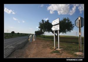 de Sidi Boumediene vers Hammam Bouhadjar