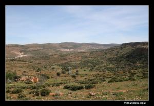 Village de Ouchba, au milieu des Djbels Fraïfis faisant partie de l'Atlas Tellien