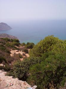 La Baie d'Oran