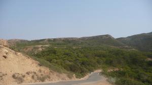 Forêt Côtière (Oran)