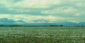 Neige Exceptionnelle entre Tlelat et el Braya (Oran)