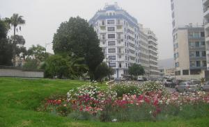 Oran Cité de Bel air