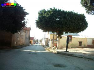 ROUTE VERS BOU-SFER PLAGE - BOU-SFER - ORAN