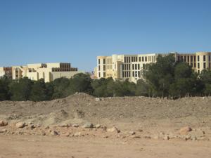 Université d'El Bayadh