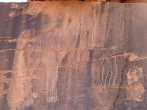 Bélier de Boualem Wilaya d'El-Bayadh