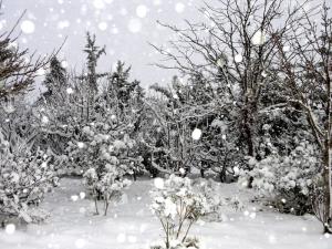 La Neige à El Bayadh