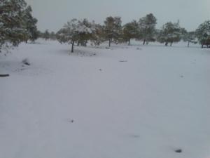Photo EL Bayadh en Hiver