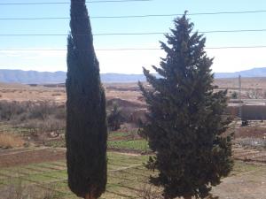 Exploitation Agricole - Commue d'El Meharra- Wilaya d'El Bayadh