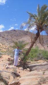 El Abiodh Sidi Cheikh (El Bayadh)