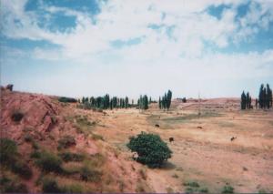 EL OUED DE SIDI AMAR