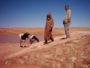 Retenue d'Eau à El Meharra (El Bayadh)