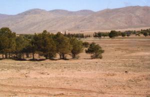 Drâa Lahmar (Wilaya d'El Bayadh)