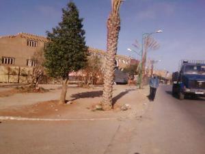 Hay Sedikia (El Bayadh)