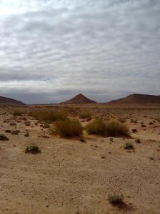 Paysage d'El Bayadh