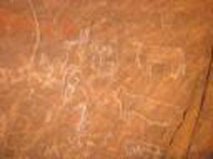 Gravures Rupestres à El Bayadh