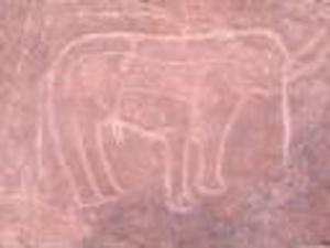 Gravure Rupestre d'El Bayadh