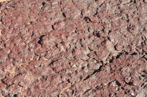 Sol Rocailleux aux environs d'Illizi