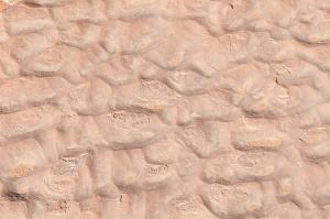 Terre calcifiée (Illizi)