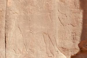 Dessin préhistorique (illizi)