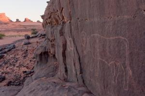 Dessins Préhistoriques sur les Rochers (Illizi)