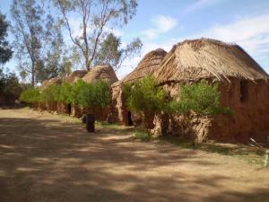 Cahutes de Camping à Illizi