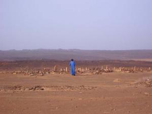 Image de Tamadjert, Illizi Algeria