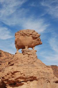 Sculpture d'un cochon façonné naturellement par l'érosion