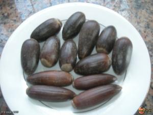 Ville de ZEBOUDJA (Chlef) '' Les fruits du chéne liége ''