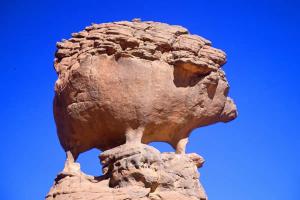 Cochon façonné naturellement par l'érosion (Illizi)