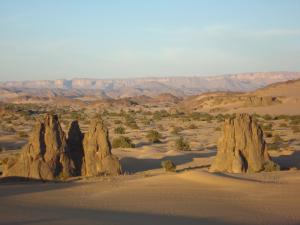 Dunes, arbres et montagnes (illizi)