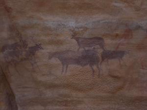 Peinture Rupestre à Sefar (Illizi)