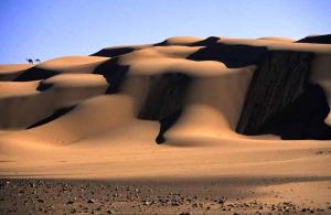 Hassi Tadjenout, vers iIlizi