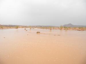 Un Oued de la Wilaya d'Illizi