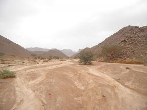 Désert de Milene (illizi)