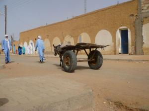 Village de Salah Bamhamed (wilaya d'illizi)