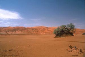 Oued Mellene (illizi)