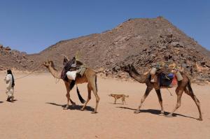 Nomades touaregs (illizi)