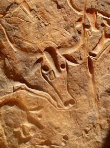 Tegharghart  vache qui pleure  (illizi)