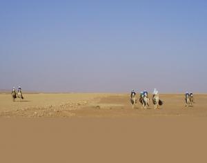 TFT-Twareg- serbis (illizi)