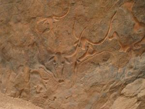 La  vache qui pleure  Oued Edjereou (illizi)