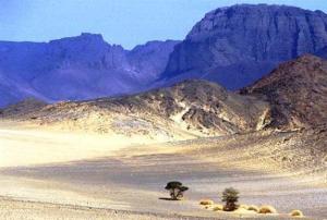 Paysage du Désert (illizi)