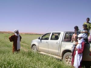 Tedjoudjelte (illizi)