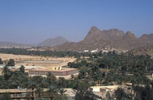 La palmeraie de Djanet vue du fort Charlet (illizi)