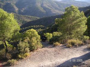 Forêt de Bordj Bou Arrerij