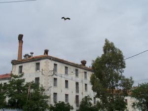 Gare Ferroviaire de Bordj Bou Arrerij