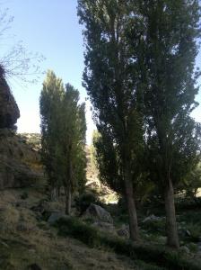 Forêt de Bordj Ghedir (Bordj Bou Arrerij)