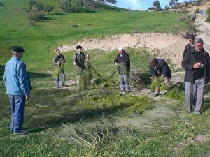 Teffreg (Bordj Bou Arrerij)